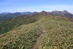 平家平からのぞむ石鎚山系