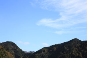 鳥の雲