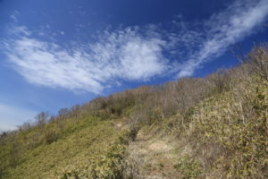 野地峰