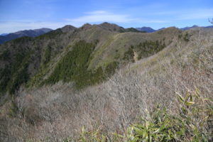 野地峰