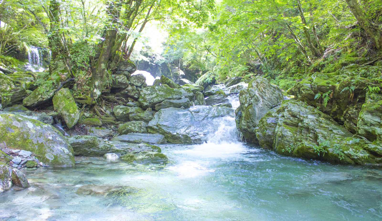 岩を登って小川をわたって！手つかずの自然を大冒険！ 大川村で沢歩き
