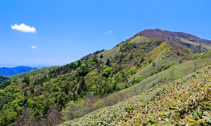 平家平