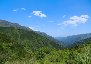 大座礼山