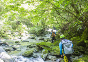 【沢登り】川淵を歩く