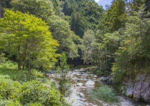 大北川