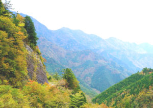 大座礼山の紅葉