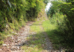 三ツ森山登山道