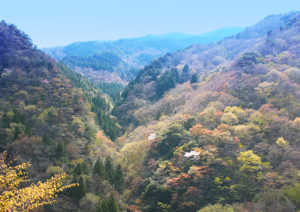 大北川からの見晴らし