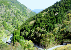 大北川山あいの道