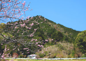 花越しの山里