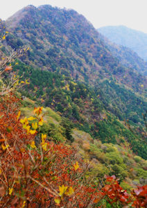 三ツ森山の紅葉