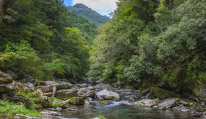 大北川木星館の沢