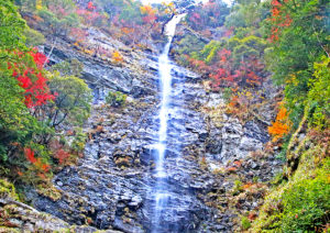 紅葉の小金滝