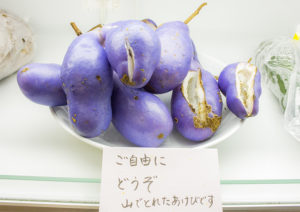 アケビおすそわけ