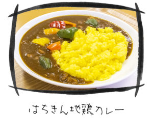 はちきん地鶏カレー