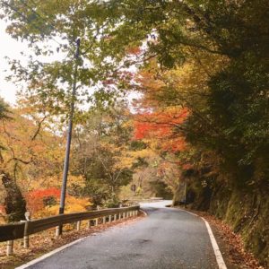 紅葉の県道17号線