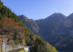 結いの里から見た紅葉