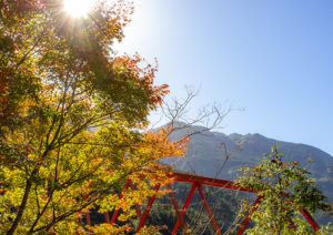 小金滝付近の紅葉