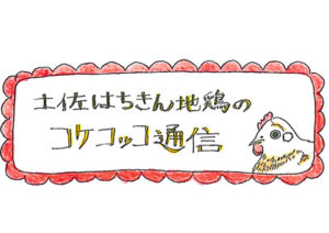 コケコッコ通信2