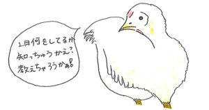 一日何をしちゅうかしっちゅうかえ？