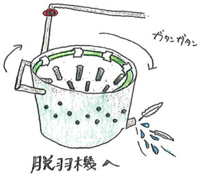脱羽機