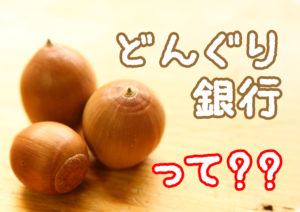 どんぐり銀行って？