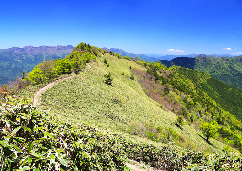 【初心者もOK!】平家平往復登山 日本一人口が少ない高知県・大川村の公式情報サイト「でぃぐ！大川村」