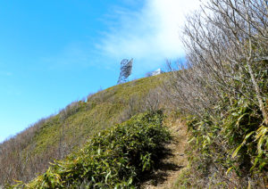 野地峰