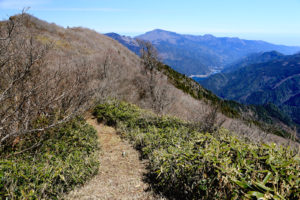 野地峰