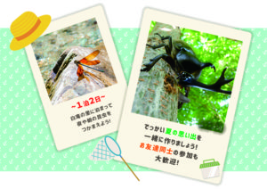 昆虫の森