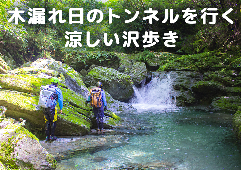 岩を登って小川をわたって！手つかずの自然を大冒険！大川村で沢歩き