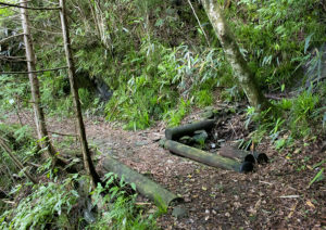 【アクティビティ】キャンプ遊歩道小川にかかる橋