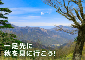 野地峰~黒岩山登山
