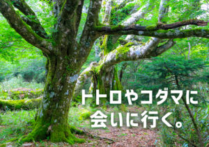 大座礼山登山サムネ