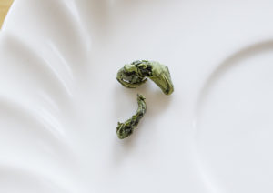 勾玉状の玉緑茶