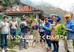 【さくら祭の川上さんち】大根収穫＆たくあん作りワークショップ