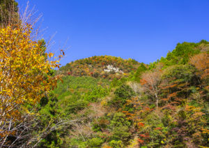 大川村小金滝駐車場からの紅葉