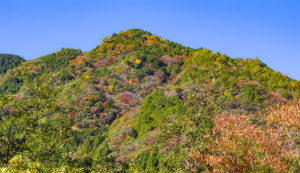 【紅葉】白滝の里からの山の眺め