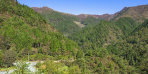 【白滝鉱山トロッコ道】現在の白滝