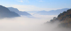 大川村雲海