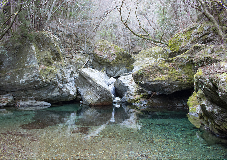 迫りくる緑と青の川を眺めながら走る秘境絶景フォトスポットライン奥吉野渓谷 ドライブコース