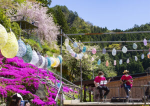 【大川村さくら祭】枝垂れ桜と八重桜をバックにライブ