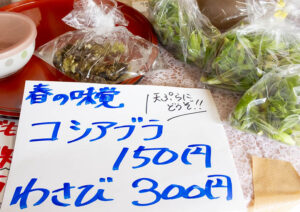 【大川村さくら祭】値付けがバグった山わさび