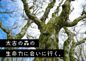 【野地峰-黒岩山登山】