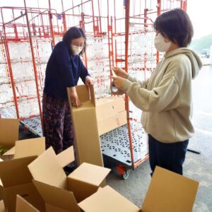 【どんぐり銀行】どんぐりの苗木発送
