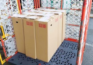 【どんぐり銀行】どんぐりの苗木発送