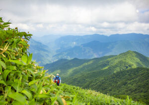 【平家平登山】