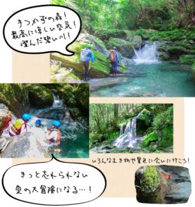 【沢歩きアクティビティ志遊美谷】