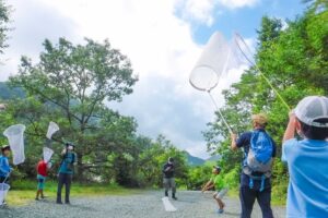 【あつまれ！こんちゅうの森】虫捕りイベント