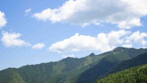 大北川山の眺め